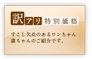 訳アリ特別価格