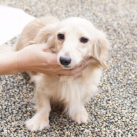 アイク